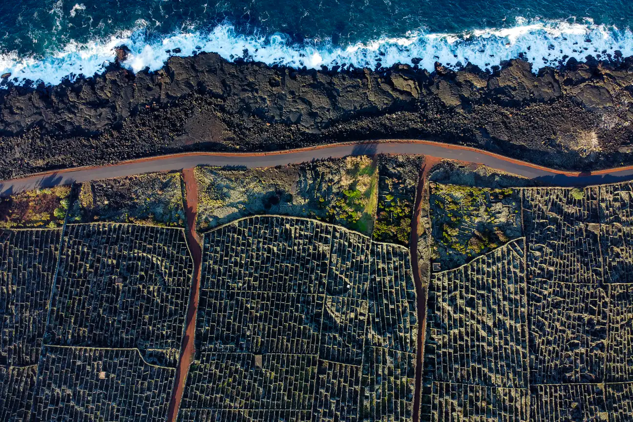 Lava-stone vineyard walls meeting the sea on Pico island