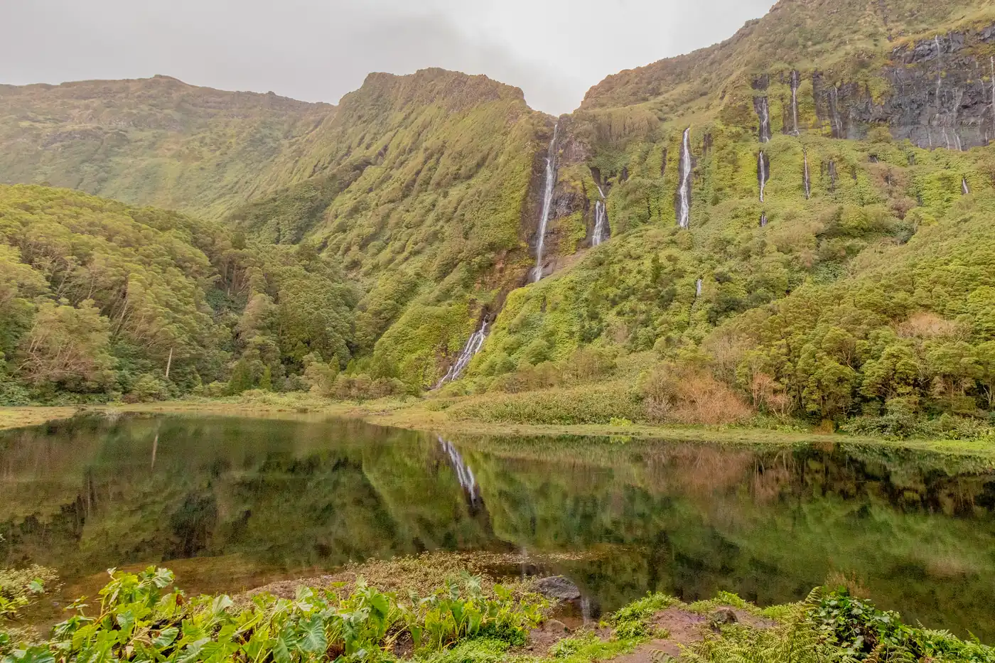 Thin waterfalls streaming down a high green cliff into a still pool fringed with ferns and moss.