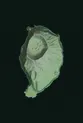 Island overview · Corvo